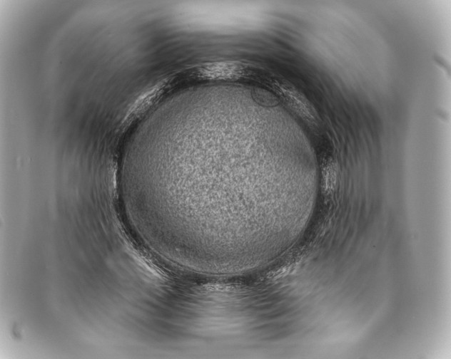 X0000093480733200710261038