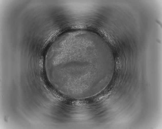 X0000093480739200710261038