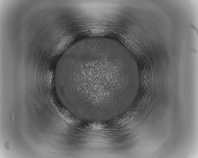 X0000093480742200710261038