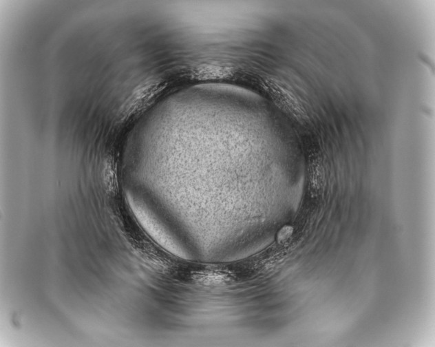 X0000093480743200710261038