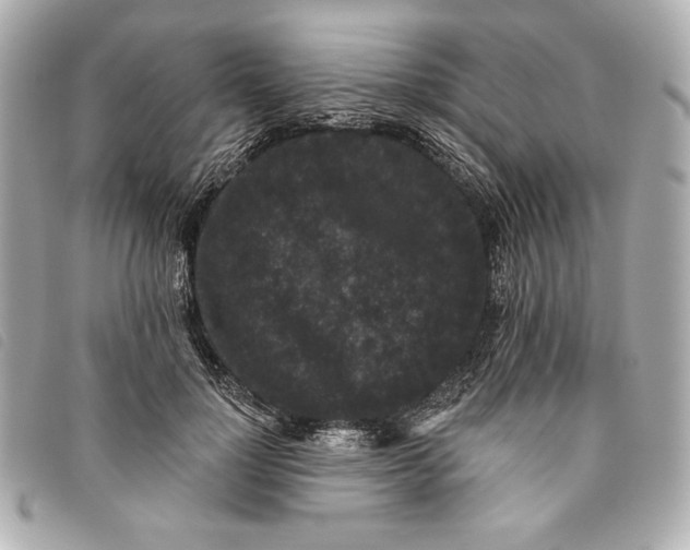 X0000093480748200710261038
