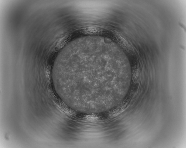 X0000093480749200710261038