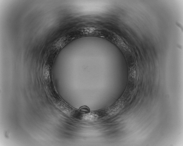 X0000093480754200710261038