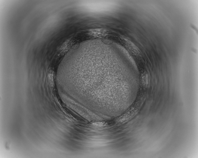 X0000093480757200710261038