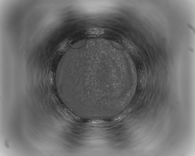 X0000093480758200710261038