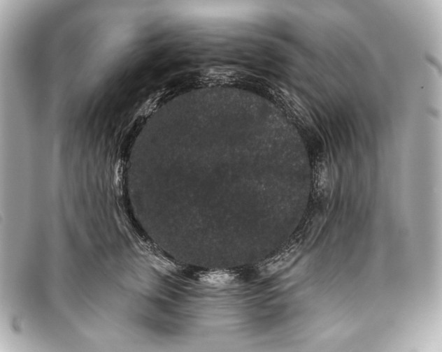 X0000093480759200710261038