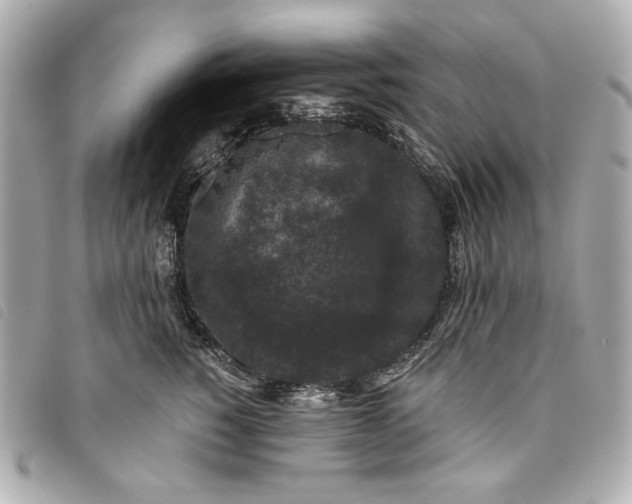 X0000093480760200710261038