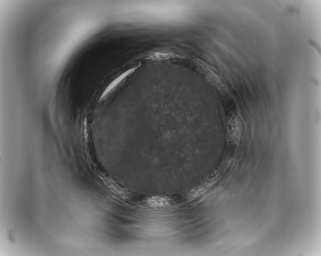 X0000093480762200710261038