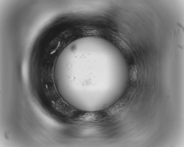 X0000093480764200710261038