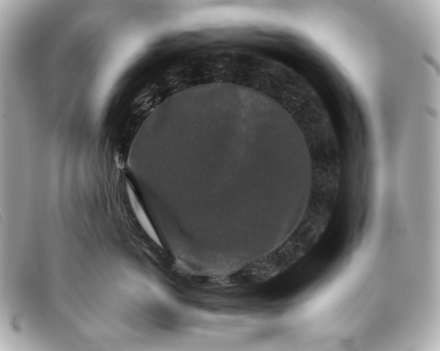 X0000093480766200710261038