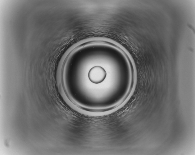 X0000093480769200710261038