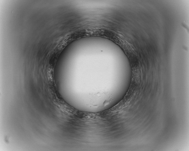 X0000093480770200710261038