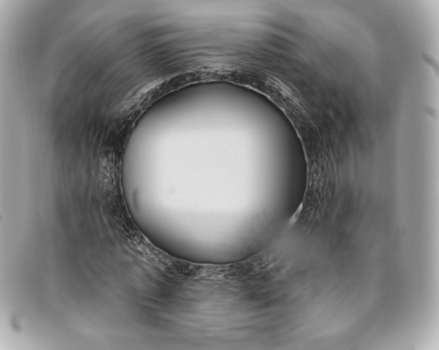 X0000093480773200710261038