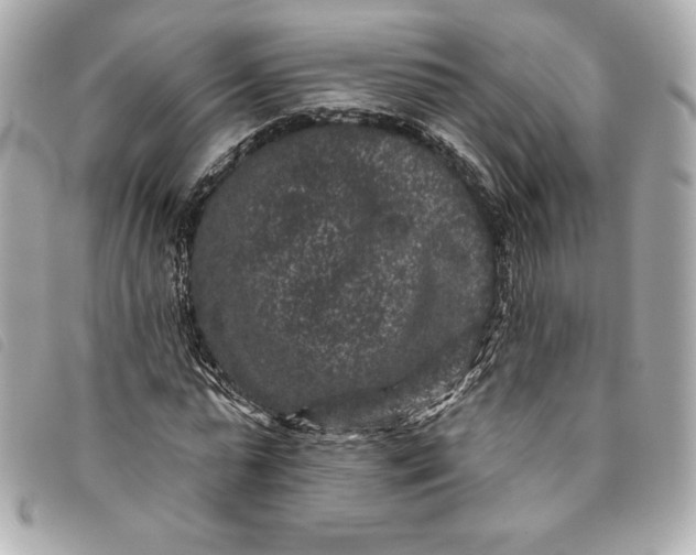 X0000093480775200710261038