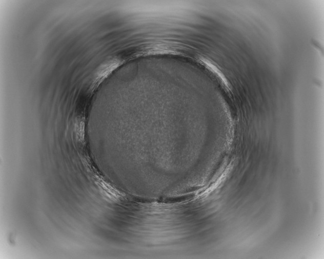 X0000093480777200710261038