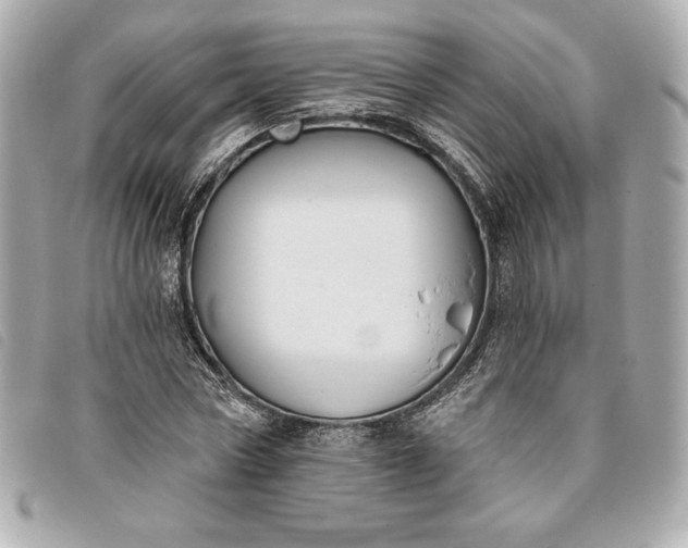 X0000093480778200710261038