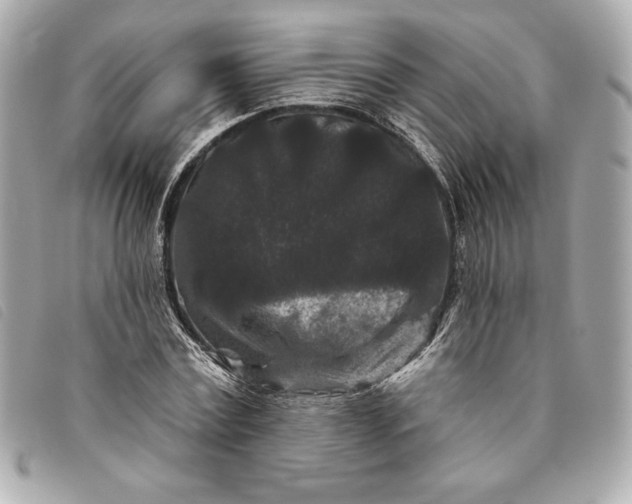 X0000093480779200710261038