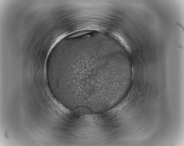 X0000093480780200710261038