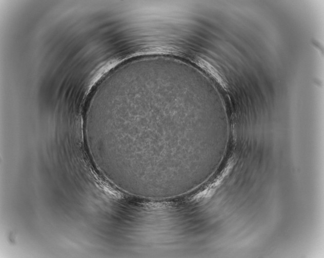 X0000093480781200710261038
