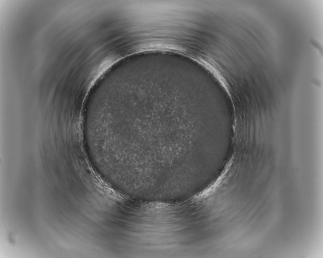 X0000093480783200710261038