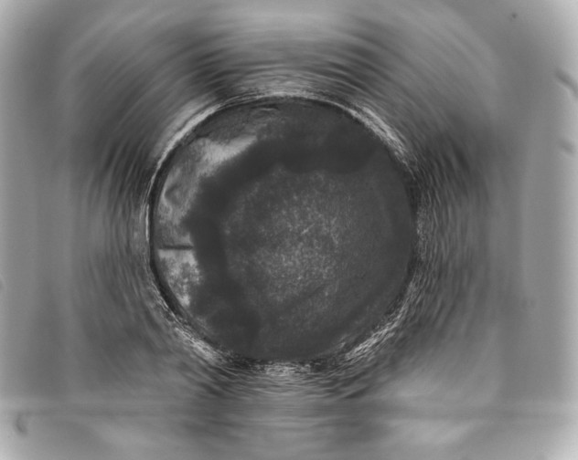 X0000093480790200710261037