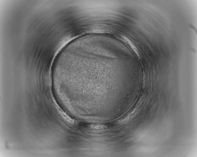 X0000093480795200710261037