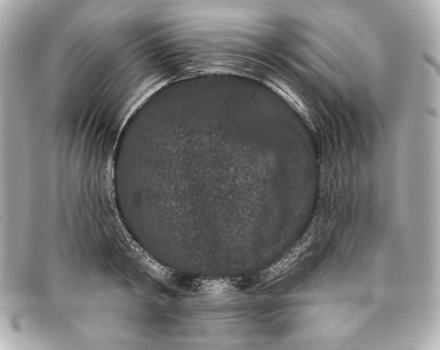 X0000093480798200710261037