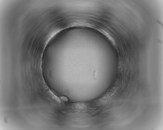 X0000093480799200710261037