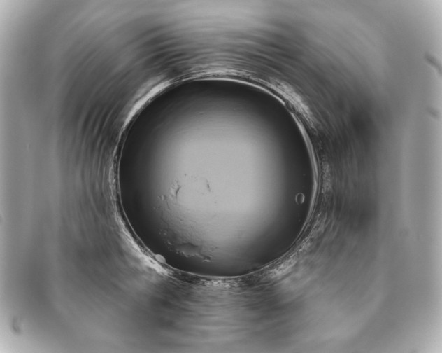 X0000093480806200710261037