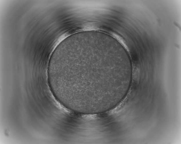 X0000093480810200710261037