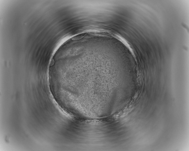 X0000093480811200710261037