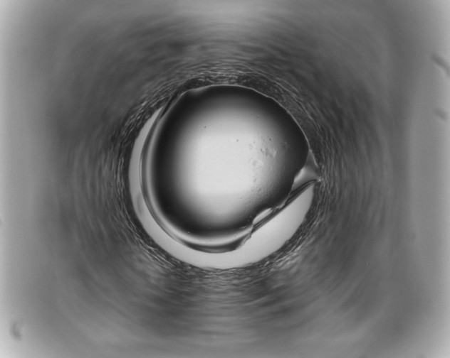 X0000093480818200710261037
