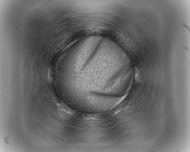 X0000093480819200710261037