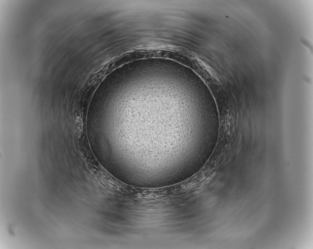 X0000093480821200710261037
