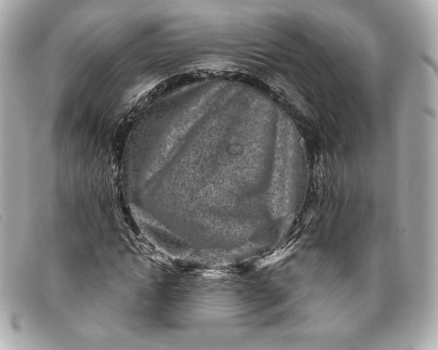 X0000093480822200710261037