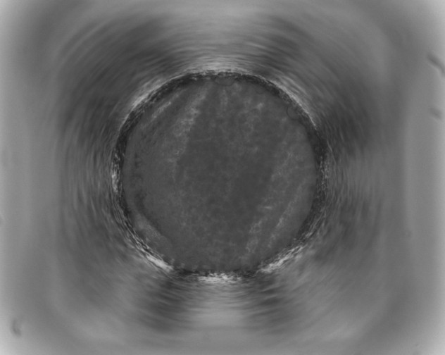 X0000093480823200710261037