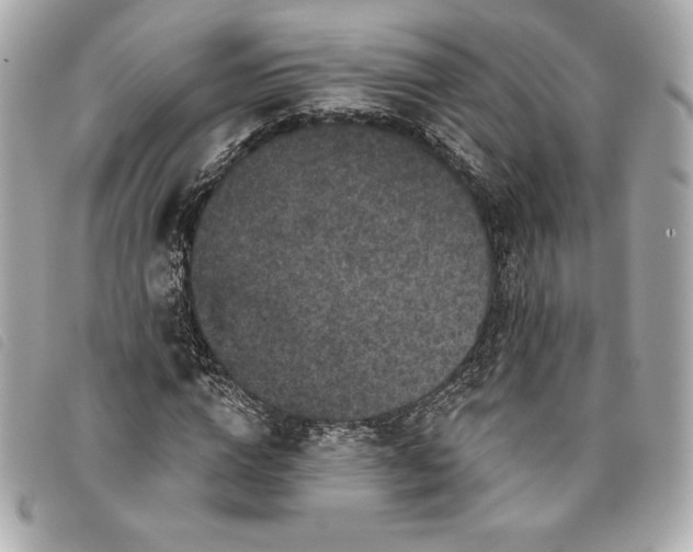 X0000093480824200710261037