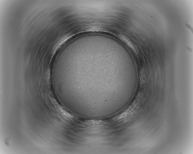 X0000093480831200710261037