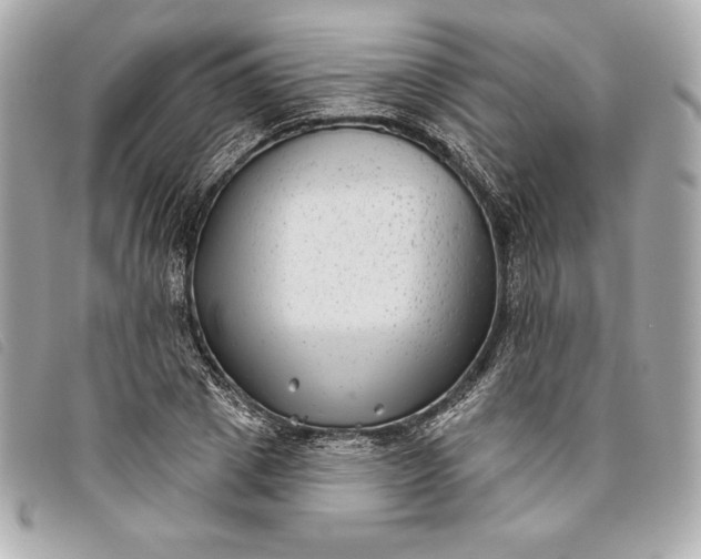 X0000093480833200710261037