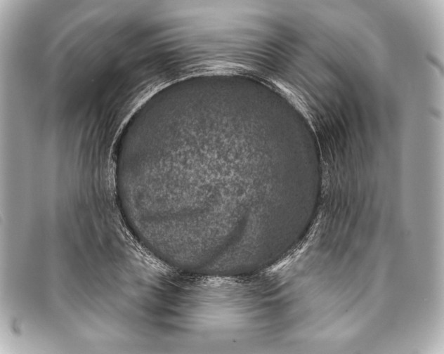 X0000093480835200710261037