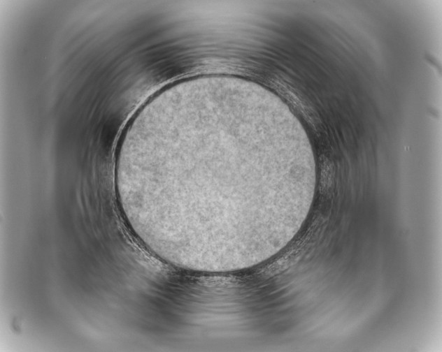 X0000093480836200710261037
