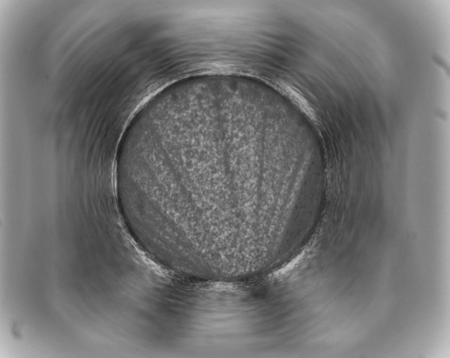 X0000093480839200710261037
