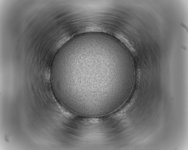 X0000093480841200710261037