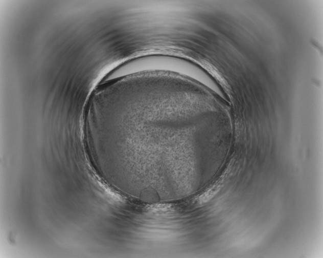 X0000093480846200710261037