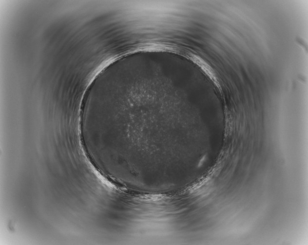 X0000093480853200710261037