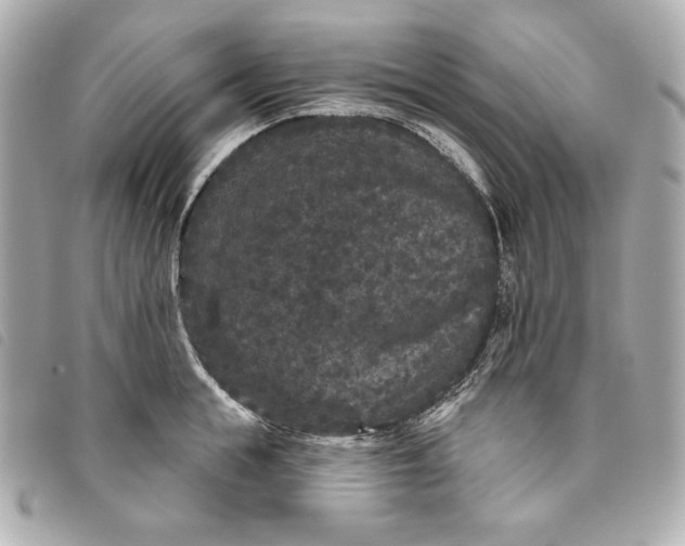 X0000093480855200710261037