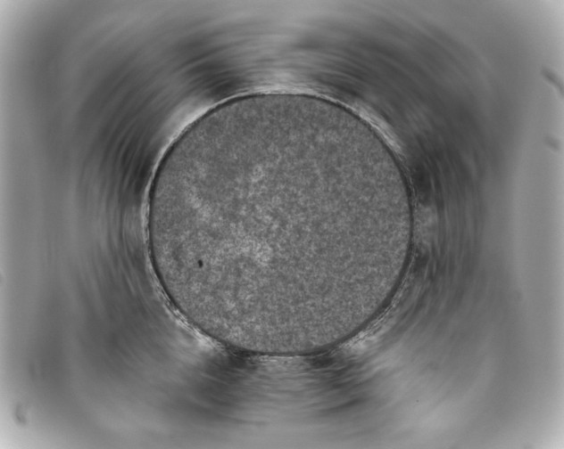 X0000093480856200710261037