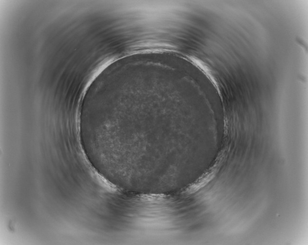 X0000093480859200710261037