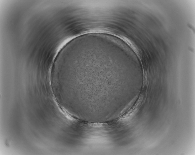 X0000093480862200710261037