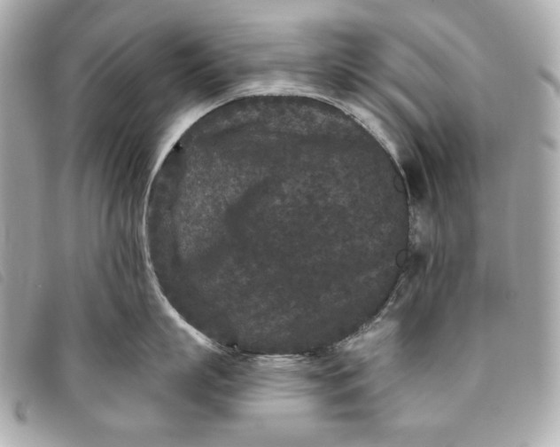 X0000093480863200710261037